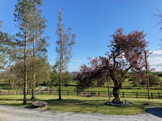 The Cottage Cork Buitenkant foto