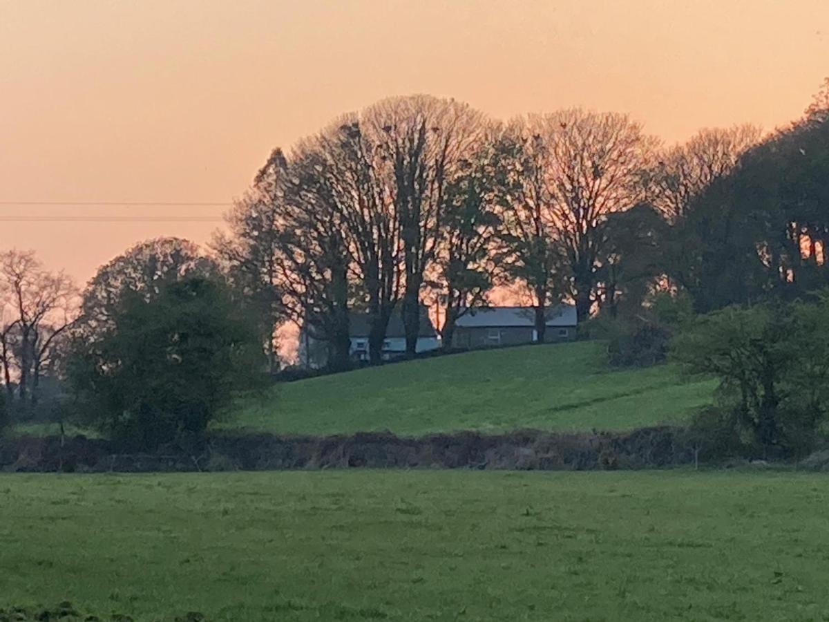 The Cottage Cork Buitenkant foto