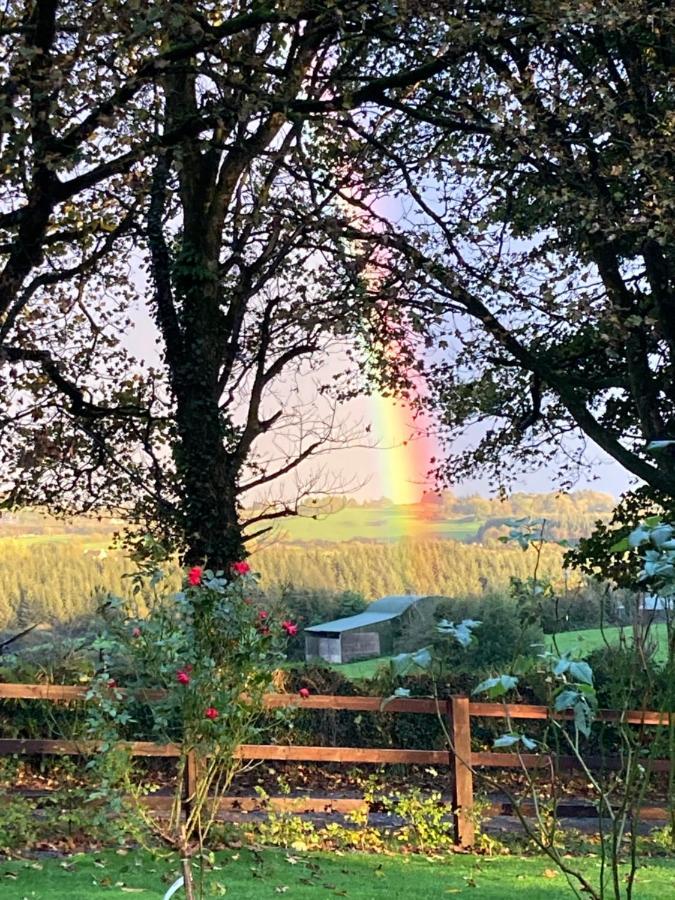 The Cottage Cork Buitenkant foto